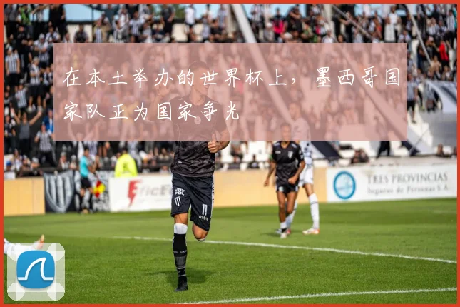 在本土举办的世界杯上，墨西哥国家队正为国家争光
